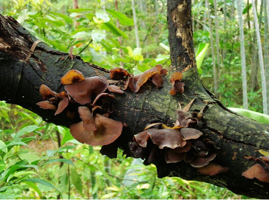 1568800571795502.jpg 201610311129317179.jpg