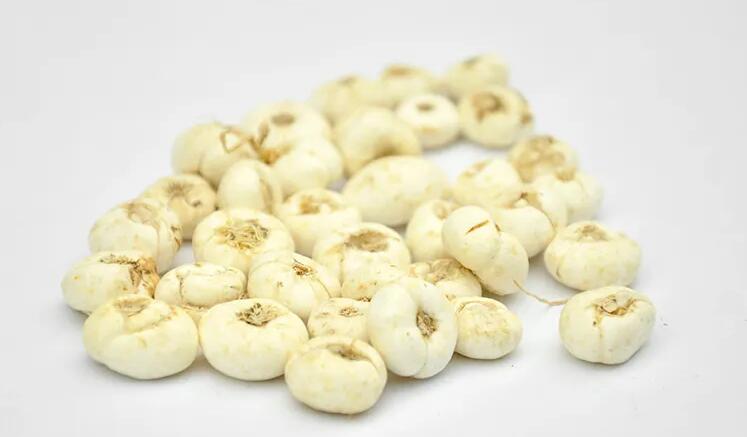 1659585717571165.jpg 兴京堂平贝母.jpg